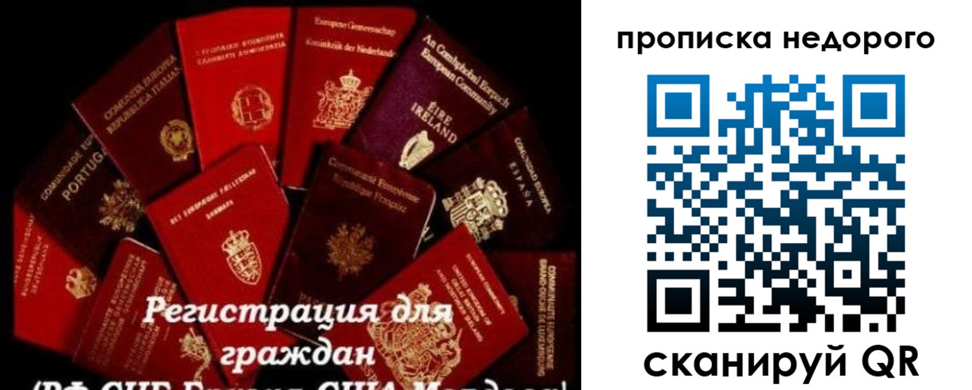 временная регистрация недорого в Курской области