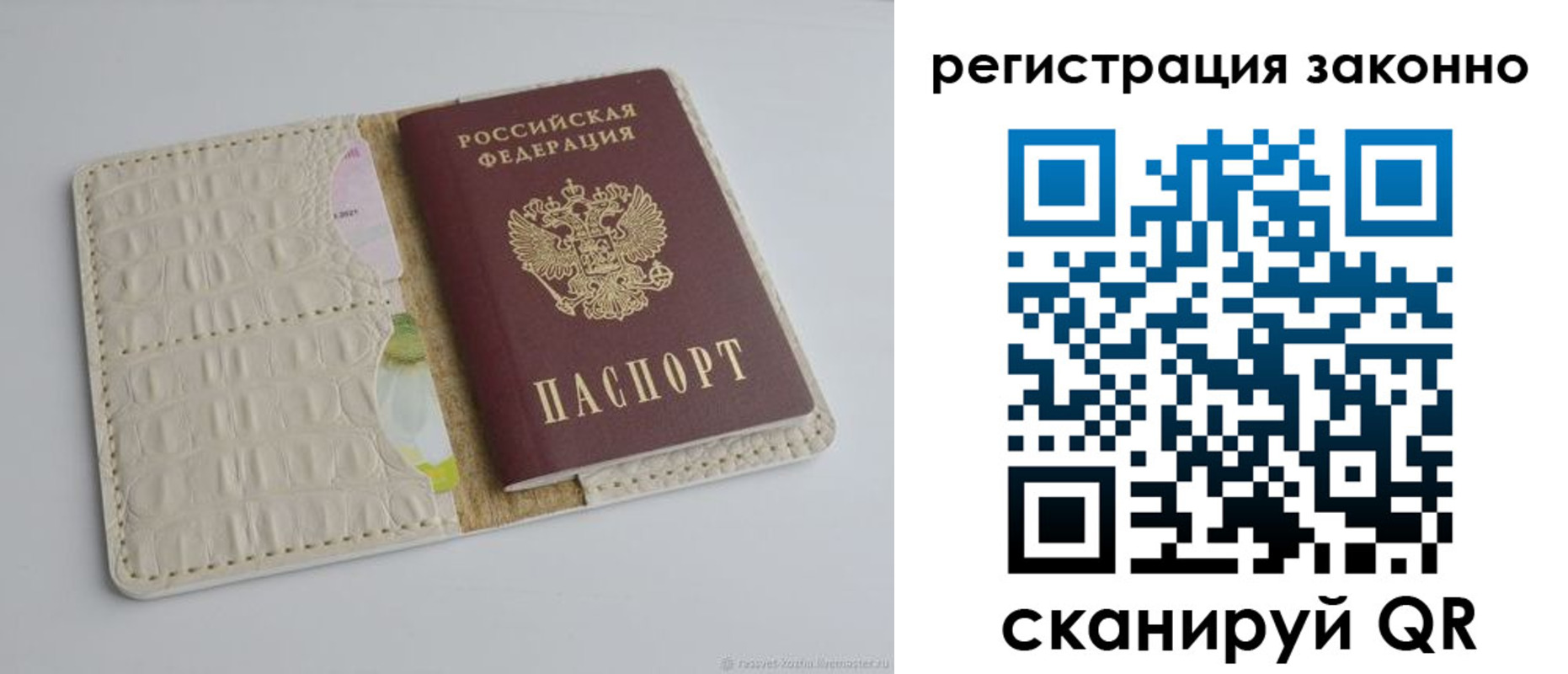прописка штамп в Курской области